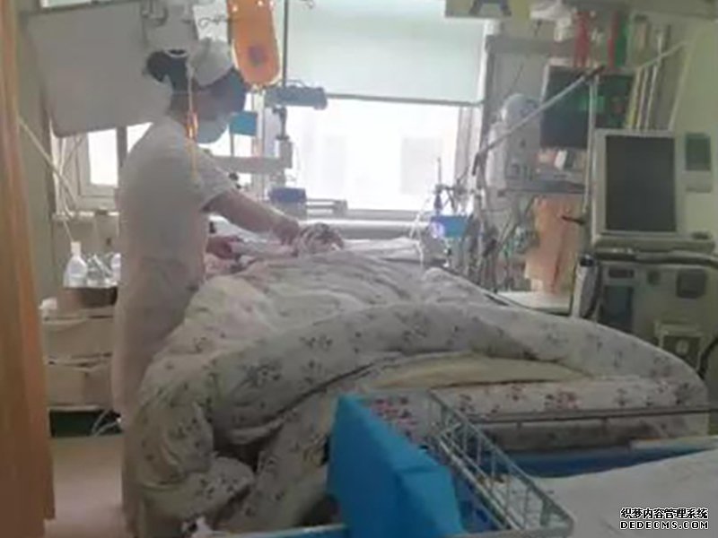 沐鸣总代理 黑龙江森林卫士