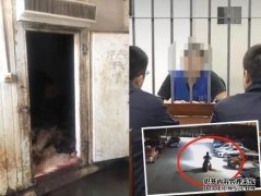 冰庫藏百狗屍！上海男：藥殺太多吃不完準備販售