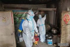 沐鸣招商主管探访鼠疫源起地：今年“老鼠比牛羊还多，一晚上能粘八九个”