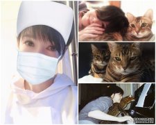 沐鸣软件下载化身「白衣天使」为护士打气 周慧敏晒爱猫相感激世界还有美好