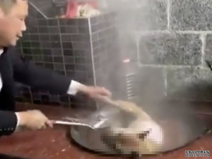 沐鸣总代理网传内地男煮狗肉 活狗被滚水淋痛苦挣扎惨不忍睹