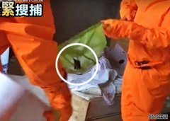 沐鸣代理招商蝙蝠咬死狗 云南消防全套防护装备「缉凶」