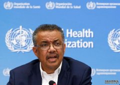 沐鸣招商主管批世衞失职 台总统府发言人嘲谭德赛「武汉脑炎 」