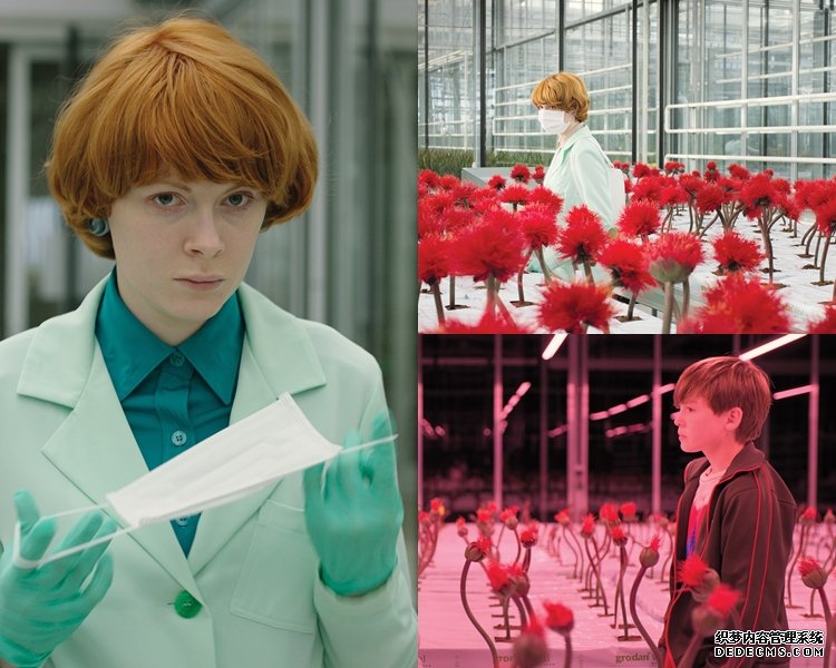 沐鸣客户端下载康城影后Emily Beecham夺奖之作《极乐品种》幸福之花变邪花