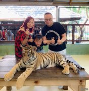 沐鸣手机版下载蒋嘉莹一家三口布吉晒太阳抗疫 5岁囝囝大胆揽老虎合照