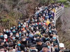 沐鸣直属招商免费入场连日达2万上限 景区紧急闭园