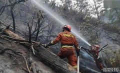 四川凉山沐鸣直属总代「3.28」森林火灾 官方通报11岁男童点燃引发