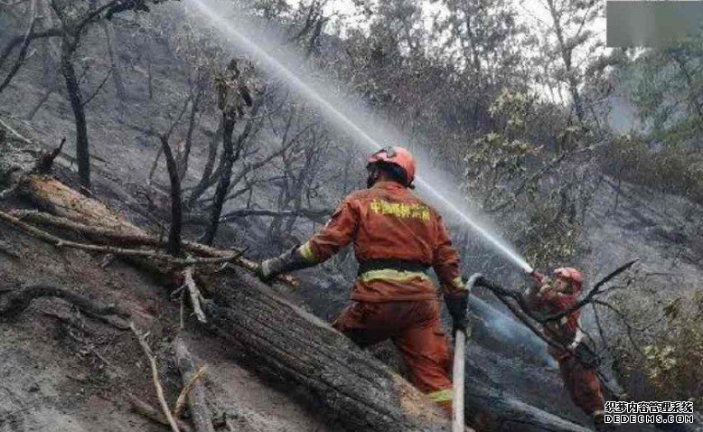 四川凉山沐鸣直属总代「3.28」森林火灾 官方通报11岁男童点燃引发