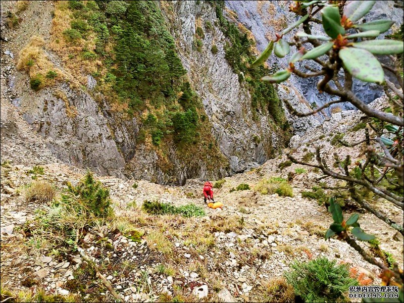 台男独自往合欢山拍日出 沐鸣直属总代堕崖魂断深谷