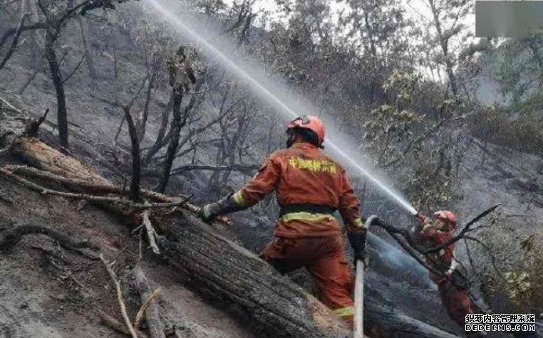 四川凉山沐鸣直属代理「3.28」森林火灾 官方通报11岁男童点燃引发