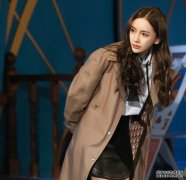 Baby中四记念册诉心声 沐鸣软件下载当年锺意栢芝陈冠希