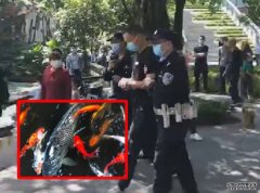 重庆网红鲤鱼遭偷走食用 沐鸣招商主管4人被行拘