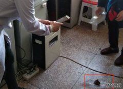 沐鸣招商主管女子手术近5年后阴道取出纱布 医院否认医疗失误