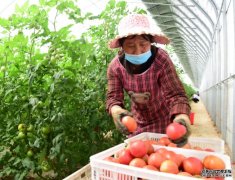 沐鸣直属总代李克强：确保实现脱贫攻坚目标 促进农业丰收农民增收