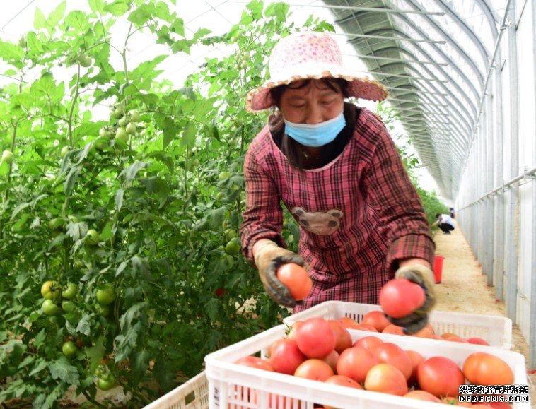 沐鸣直属总代李克强:确保实现脱贫攻坚目标 促进农业丰收农民增收