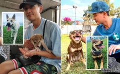 《飞虎》表现获讚赏 沐鸣苹果版APP下载黄宗泽风骚晒新宠行山相