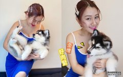 一周唔掂手机超爽沐鸣手机版下载　35E白云同爱犬揽到「线」都歪