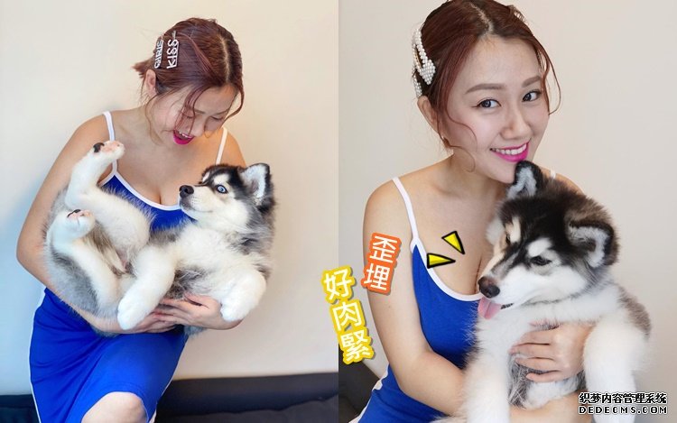 一周唔掂手机超爽沐鸣手机版下载 35E白云同爱犬揽到「线」都歪