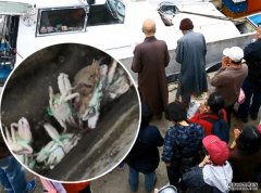 沐鸣总代理台湾善信放生螃蟹却未鬆绑 岸边现大批蟹尸