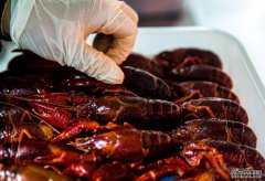 沐鸣线路测速野生小龙虾随水位上涨涌现 江苏疾控吁勿捕捞食用