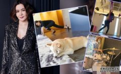 沐鸣软件下载呻冇得出街学打鼓做瑜伽　关之琳留家做Gym搵爱犬作伴