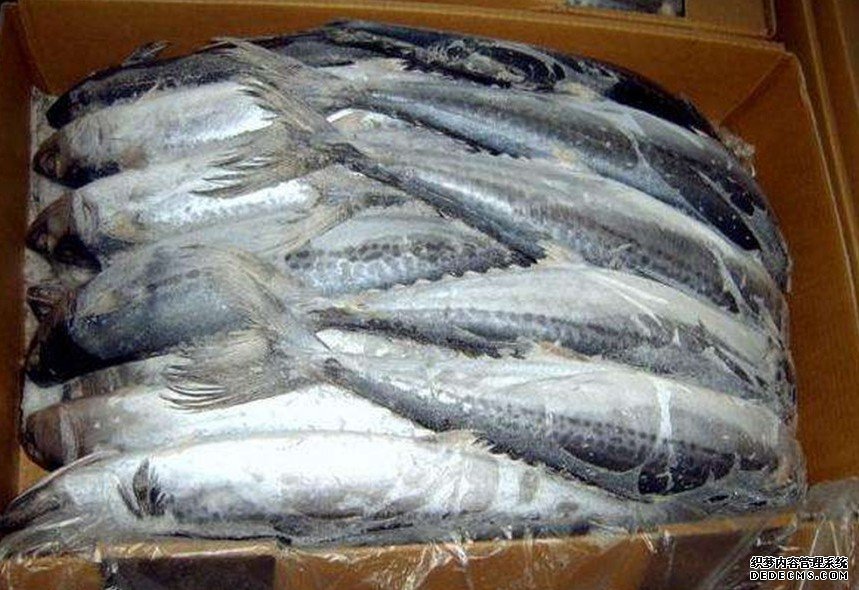 沐鸣直属代理山东有进口急冻海鲜产品包装上检出病毒 少量已加工出口