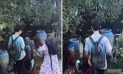 少年连环5脚踢断仙人掌 沐鸣代理开户母辩「只是孩子」赔500元了事    