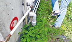 窃匪疑大埔踩线沐鸣注册 村屋留神秘记号