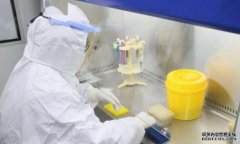 安徽阜阳新增1宗本土感沐鸣招商主管染 为上海确诊病例密切接触者