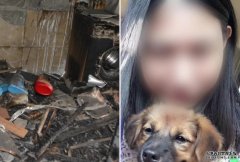 上海杀妻焚尸案揭爱沐鸣直属代理犬救主衝入火海牺牲 网民：真是人不如狗