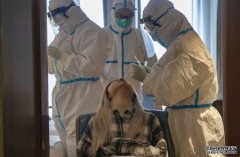 广东18万人已接种新冠沐鸣招商主管疫苗 暂无严重不良反应