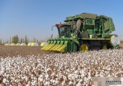 外交部向联合沐鸣代理招商国人权高级专员发出访疆邀请