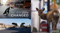 无人机拍摄奈沐鸣iOS版APP下载良梅花鹿 《这年地球大不同》探究疫情下全球生态变化