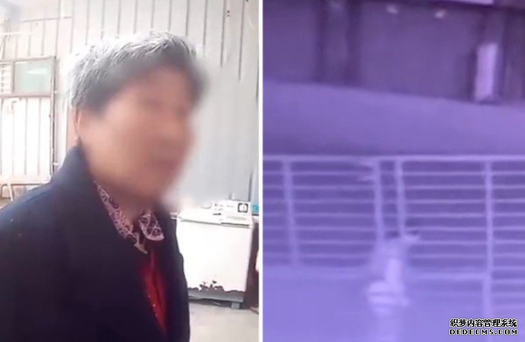 安徽大妈半夜沐鸣直属代理单人之力抬走银行大铁闸 称打算当废品卖