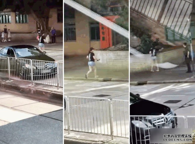 Benz女司机停车沐鸣注册救路边受伤雀 网民大讚好人好事
