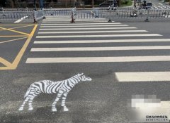杭州斑马线真有「斑马沐鸣注册」 交警:加强学童注意安全