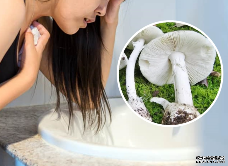 沐鸣登录丈夫烹野生不明菇类 人妻食后疑中毒又疴又呕