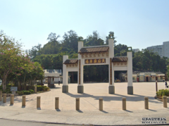 屯门天后路地盘工树上自缢亡沐鸣登录