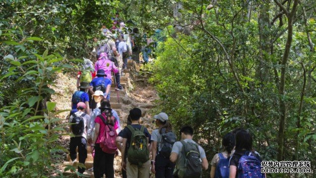 今个圣诞不太冷沐鸣注册？天文台预测10月至12月或偏暖少雨