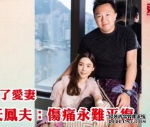 忘不了爱妻 沐鸣注册蔡天凤夫：伤痛永难平复