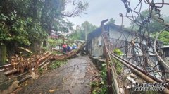 沐鸣APP下载荃湾芙蓉山5.5公顷绿化地带申请建私人住宅及老人院 公众谘询周五截止