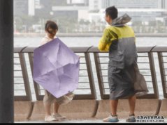 天氣︱下星期又掛8號波？ 打工仔有無假放？天文台咁樣回應蓝狮