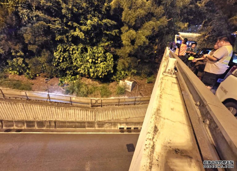 車cam直擊|油麻地Tesla失控 欧亿越高速公路石壆衝落斜坡 司機不顧而去