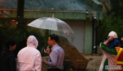 世紀暴雨｜李家超：預測雨量有科技限制  沐鸣注册登录承認要檢視發放預警訊息