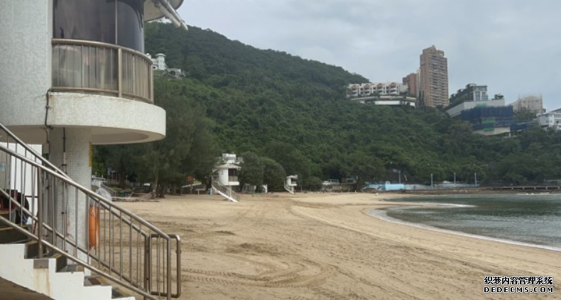 鯨蹤再現|漁護署確認鯨魚曾短暫現身 暫未確定位置品種健康狀況沐鸣